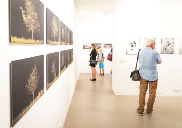 OPEN CALL FOR THE CONTEST-EXHIBITIONS RESTART2022