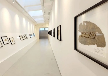 Dovilė Dagienė: "Memories of Plants" at the Ghetto Fighters' House Museum.