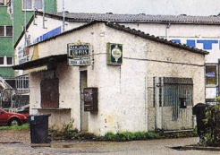 Ugnė Makauskaitė